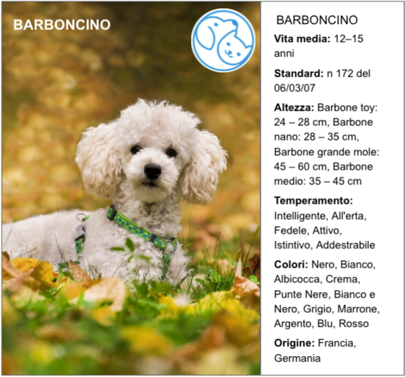 Amico Leale BARBONCINO